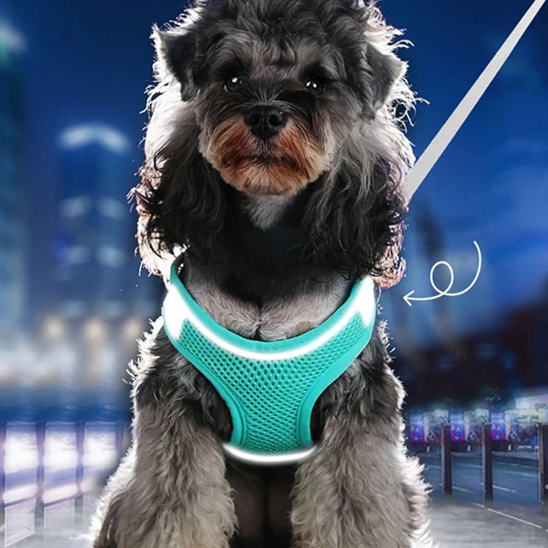 Reflective Breathable Harness Vest Outdoor Walking Set for Small to Medium Pets